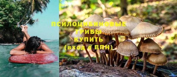 прущие крисы Баксан